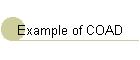 Example of COAD