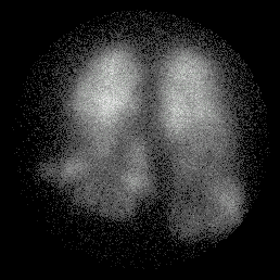 match_perf1.gif (19089 bytes)